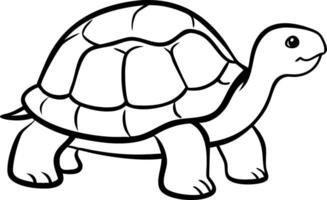 Cute Tortoise Illustration for Educational and Design Use vector