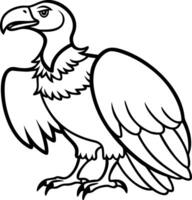 Detailed Illustration of Vulture Line Art for Educational and Artistic Use vector