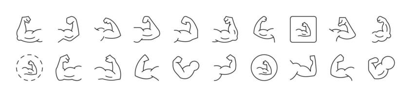 Muscles Outline Simple Linear Image Collection. Editable Stroke. Suitable for Web Sites, Books, Cards, Apps vector