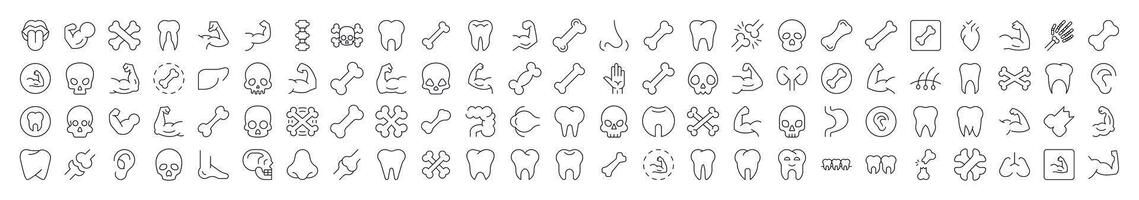 Internal Organs, Teeth and Bones Related Line Icons for Web Sites, Books, Cards, Apps. Editable Stroke. Suitable for Web Sites, Books, Cards, Apps vector