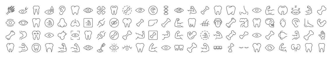 Bundles, Eye, Tooth, Muscle, Internal Organs Pictures Drawn with Thin Line. Collection of Various Design Elements that Can Be Used for Apps, Articles, Web Sites, Social Media vector