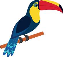 Toucan bird isolated on transparent background. vector