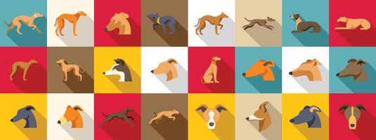 Greyhound icons set. Greyhound dog breed collection in different poses and colors vector