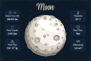 Hand drawn white grey Moon and its lunar craters outer space with its scientifical characteristics vector