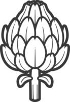 An artichoke is shown in a black and white drawing vector