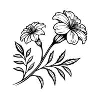 Black and white drawing of flowers on a branch vector