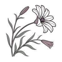 A flower with leaves and stems is shown in this illustration vector