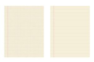 Graph and lined paper template with red margin for school and office use. Geometric pattern for school, wallpaper, textures, notebook. Lined blank vector