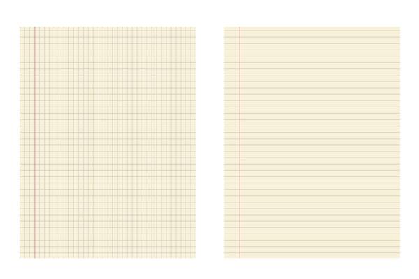 Graph and lined paper template with red margin for school and office use. Geometric pattern for school, wallpaper, textures, notebook. Lined blank