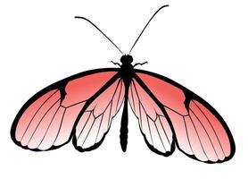 The silhouette of butterfly with red wings. vector