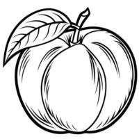 a peach is shown in a black and white drawing vector