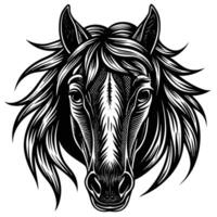 a horse head in a woodcut style vector