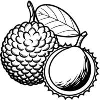 black and white drawing of a lychee fruit vector
