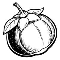 a black and white drawing of a ripe mango vector