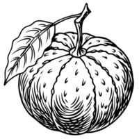 an orange with leaves and a leaf vector