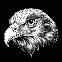 eagle head tattoo design vector
