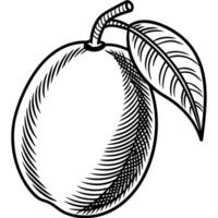 a black and white drawing of a mango vector