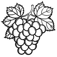 grapes coloring pages vector