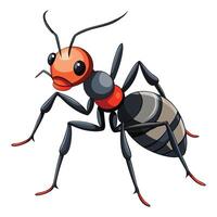 ant with black and red stripes illustration vector