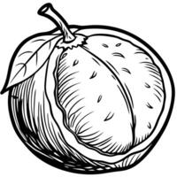 a black and white drawing of a grapefruit vector