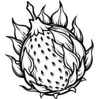 a black and white drawing of a fruit with leaves vector