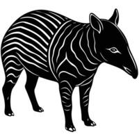 a black and white zebra with stripes vector