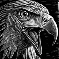 an eagle head in a woodcut style vector
