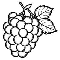 grapes coloring pages vector