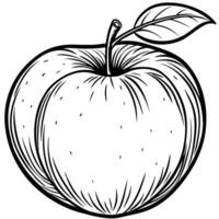 apple coloring pages free printable coloring pages for kids vector