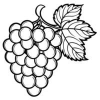 grapes coloring pages vector