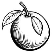 an apple with leaves is drawn in black and white vector