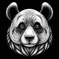 a panda bear head in a drawing style vector