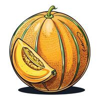 a cartoon drawing of a cantaloupe with a slice taken out vector