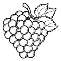 grapes coloring pages vector
