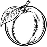 a black and white drawing of a peach vector