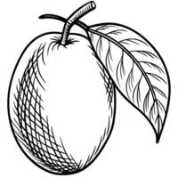 a mango with leaves and a leaf on it vector