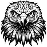 an eagle head with a long beak and long feathers vector