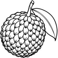 a black and white drawing of a lychee fruit vector