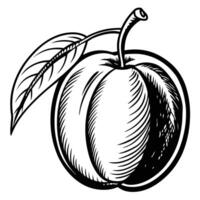 a black and white drawing of a peach vector