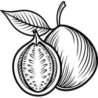 a drawing of a fruit with leaves and a half vector