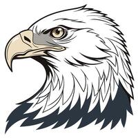an eagle head on a white background vector