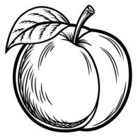 a black and white drawing of a peach vector