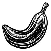 a black and white drawing of a banana vector