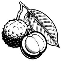 a black and white drawing of a fruit and leaves vector