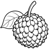 coloring page of lychee fruit with leaves vector
