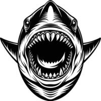 shark head with open mouth and teeth vector