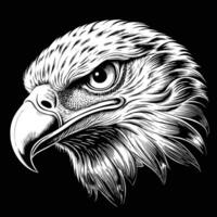 head of eagle in a black and white drawing style vector