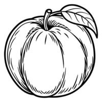 a peach is drawn in black and white on a white background vector