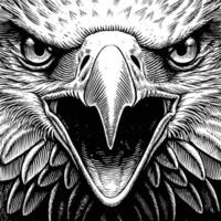 an eagle head with an angry expression vector