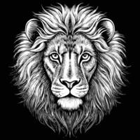 lion head in a black and white drawing style vector